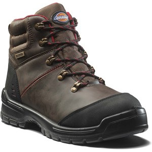DFC9535 Cameron Safety Shoes