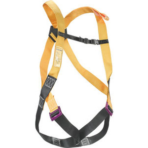 GB121008 Nt02 harness