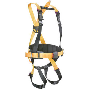 GB121026 Nt04 harness