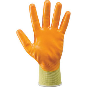 GB353079 Ghibli glove
