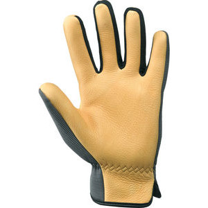 GB388024 Deerskin Glove