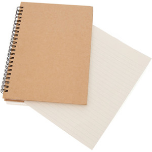 GT40045 Linusb notebook
