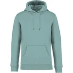 NS401 Unisex hooded sweatshirt Thumbnail Image